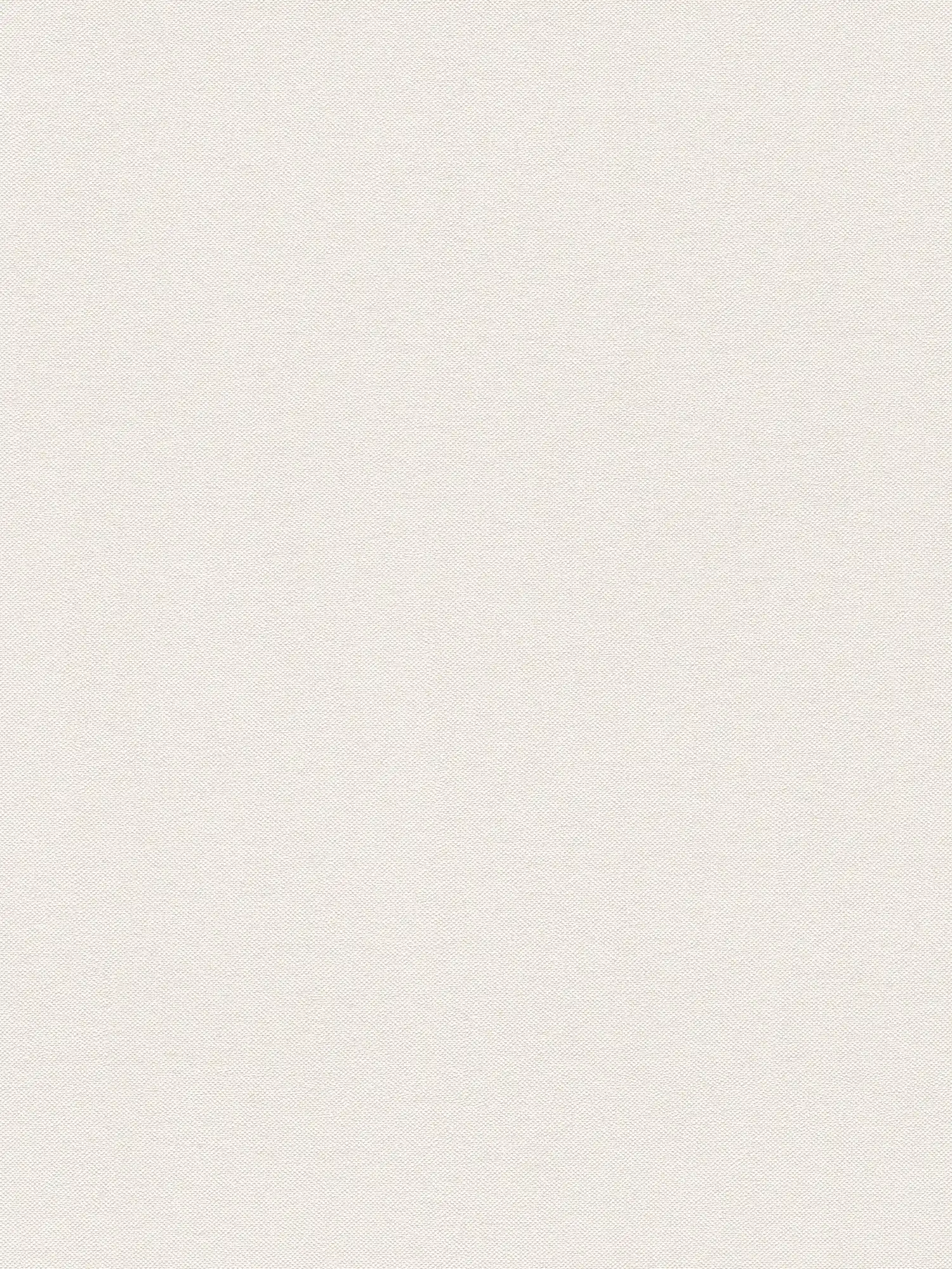 A.S. Création Wallpaper Shades of White