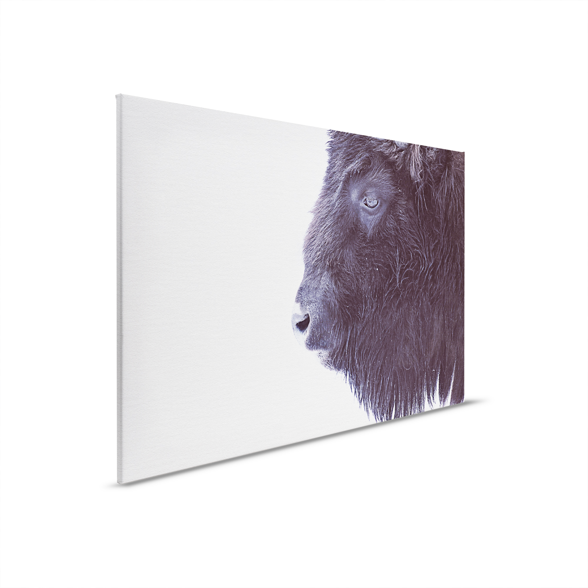 livingwalls tableau sur toile ARTist