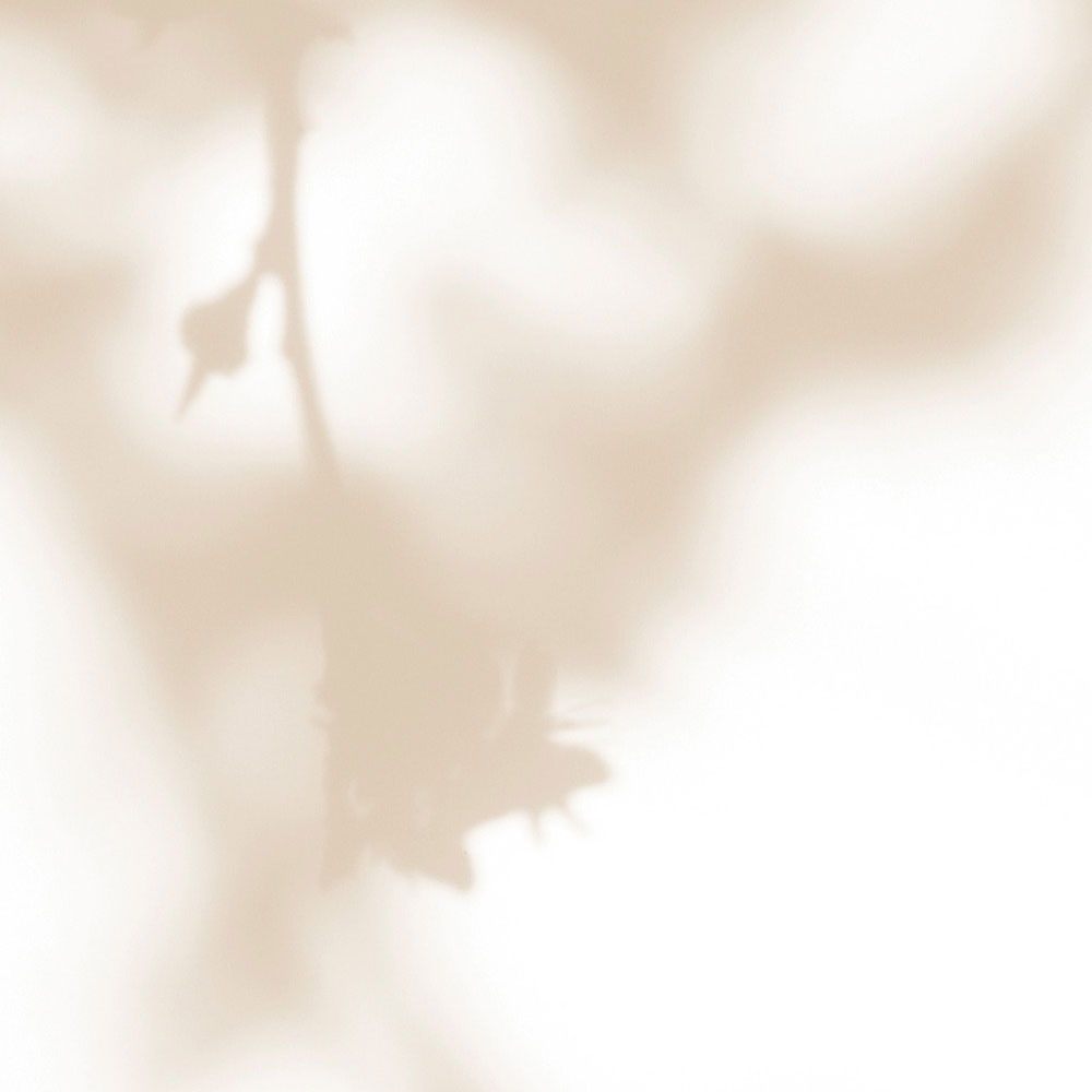 walls by patel Photo wallpaper Walls by Patel 3