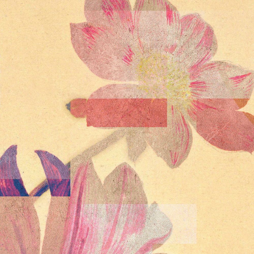 walls by patel impression numérique Walls by Patel 3