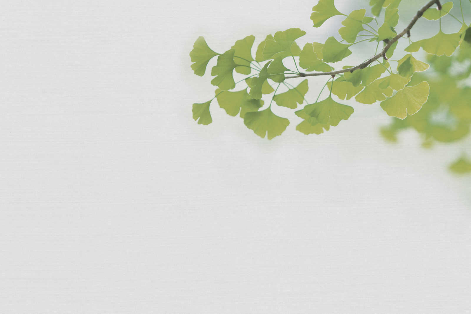livingwalls Leinwandbild Designwalls 2 livingwalls Leinwandbild Designwalls 2