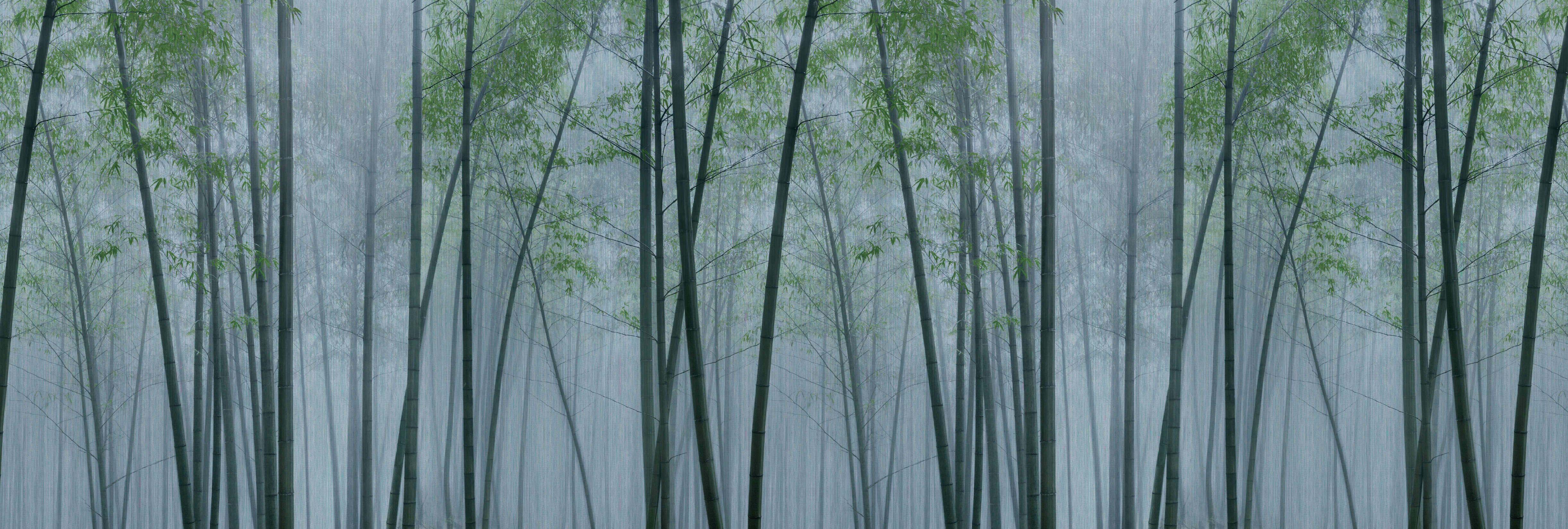 walls by patel Photo wallpaper Walls by Patel 3