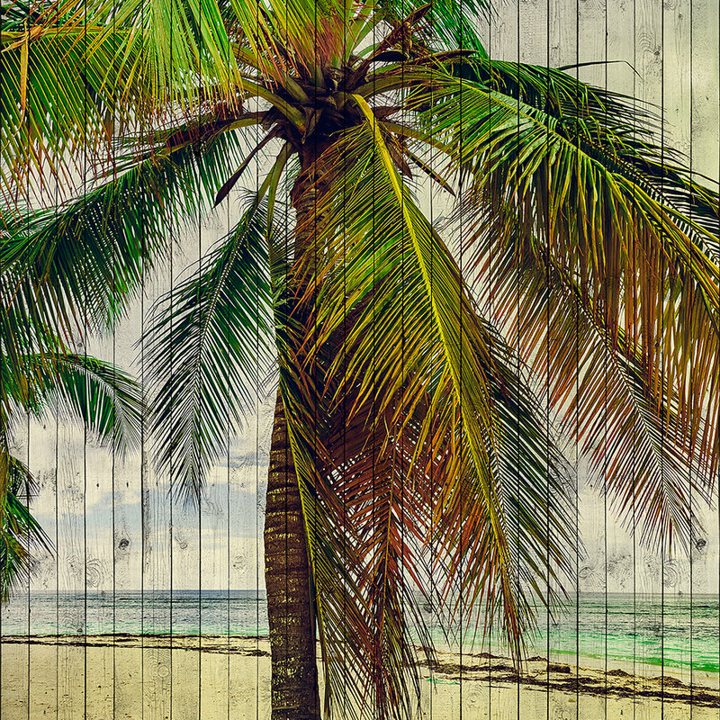 walls by patel Photo wallpaper Walls by Patel 2