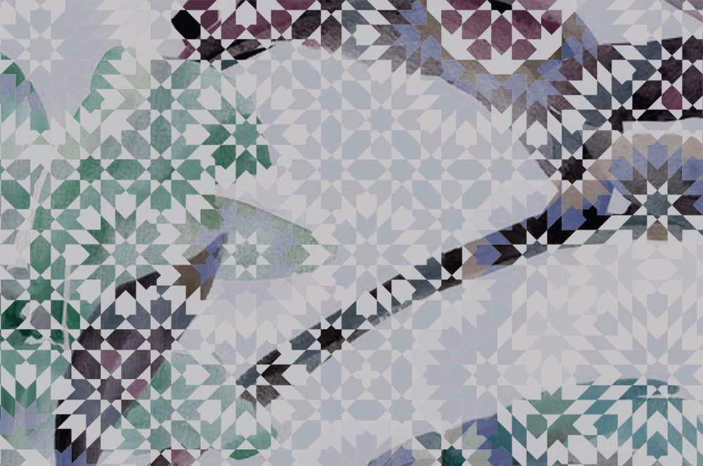 walls by patel Photo wallpaper Walls by Patel walls by patel Photo wallpaper Walls by Patel