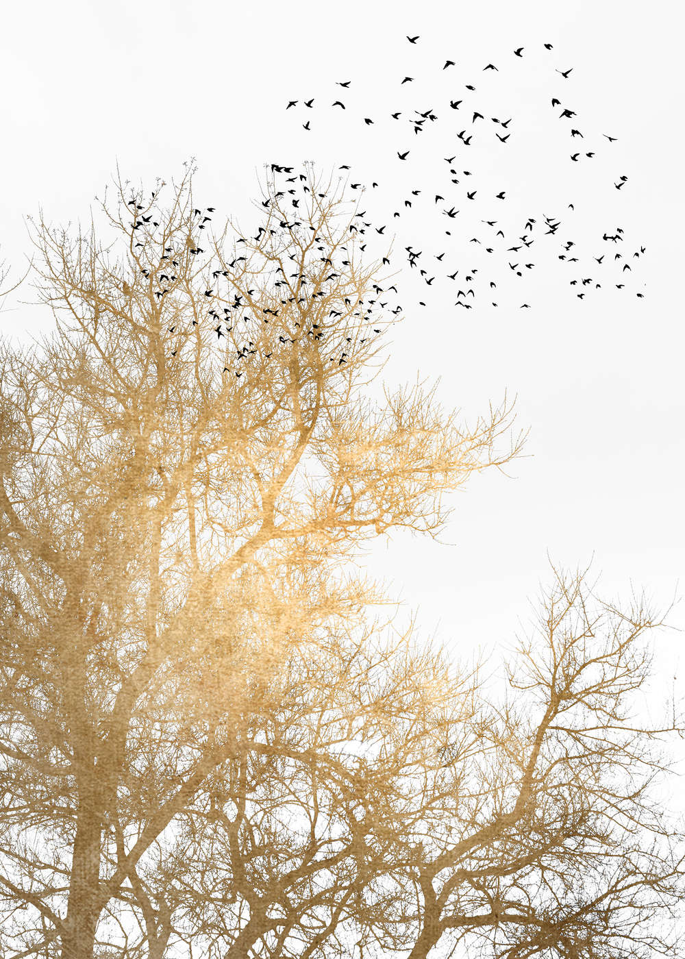 livingwalls Photo wallpaper ARTist livingwalls Photo wallpaper ARTist