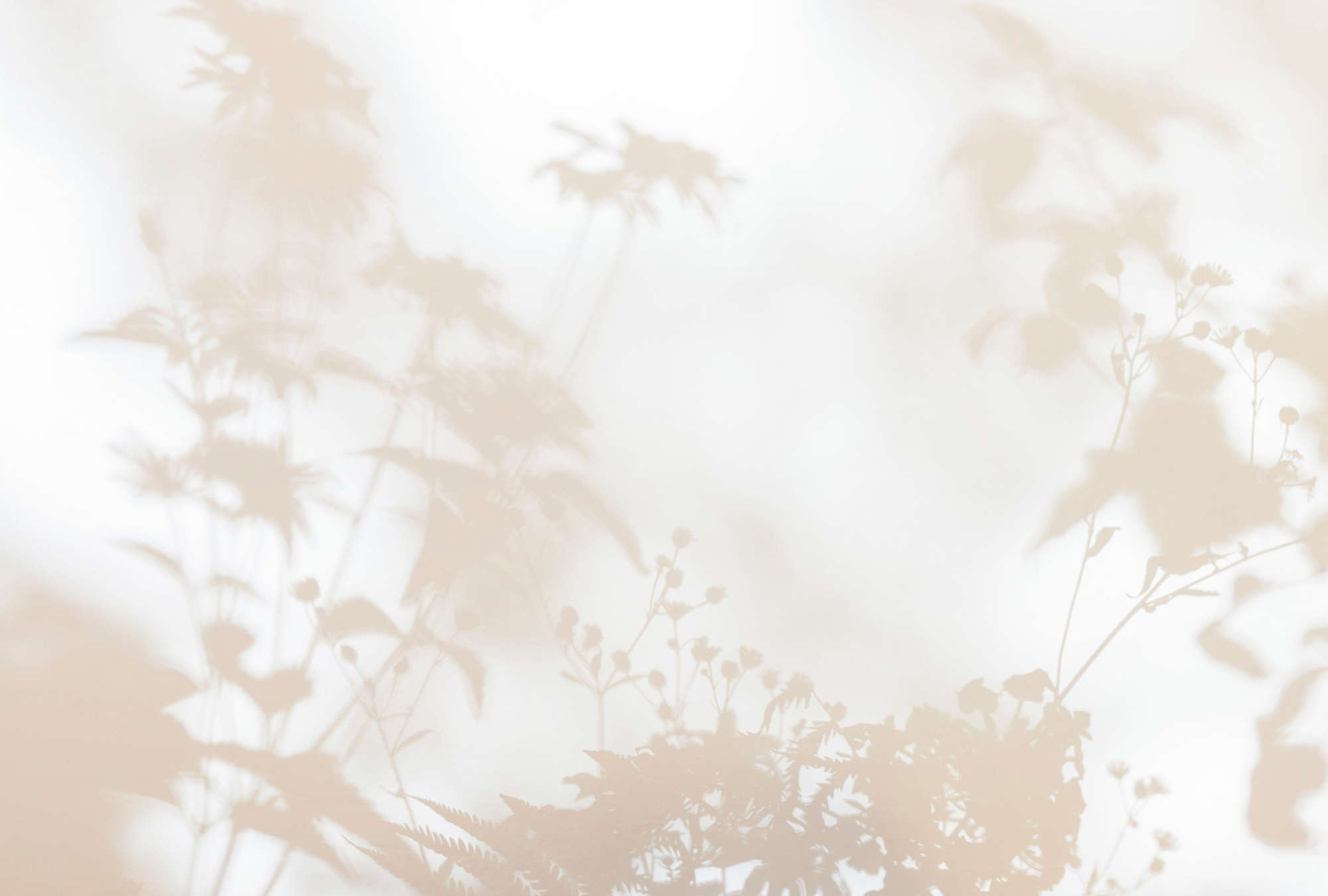 walls by patel Photo wallpaper Walls by Patel 3