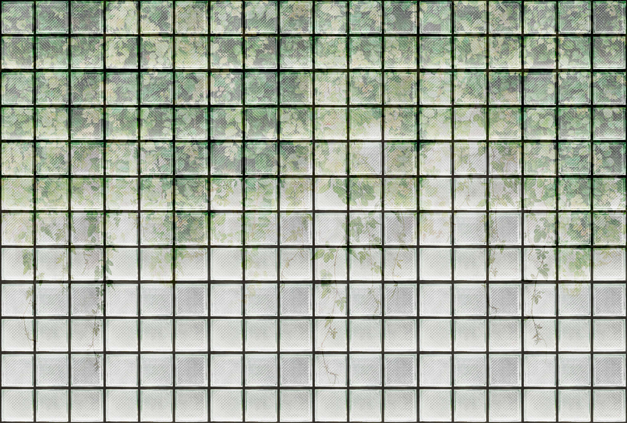 walls by patel Photo wallpaper Walls by Patel 3