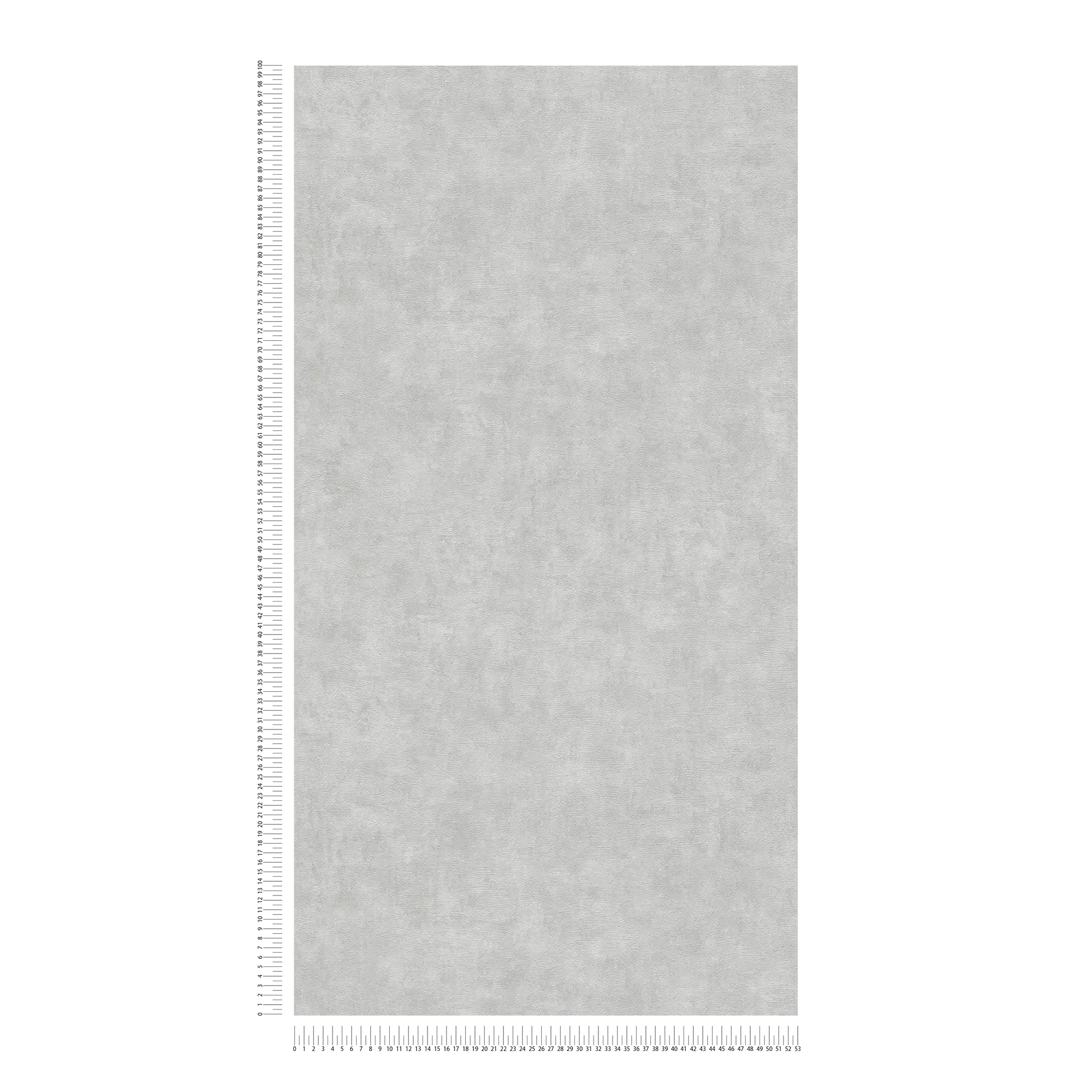 A.S. Création papier peint Terra 2022