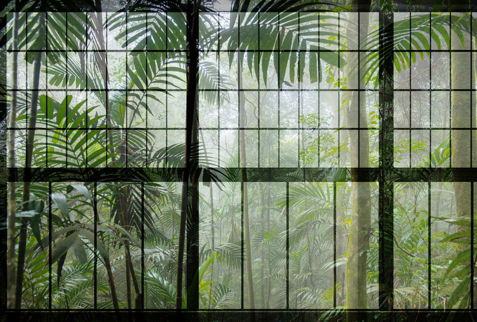 walls by patel Photo wallpaper Walls by Patel 2