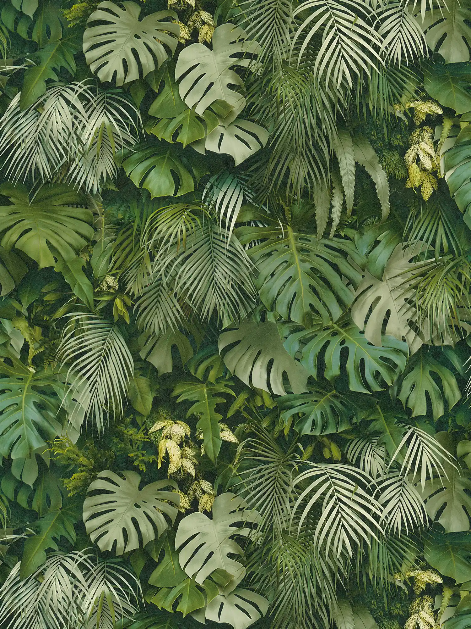 livingwalls Обои Styleguide Jung 2024