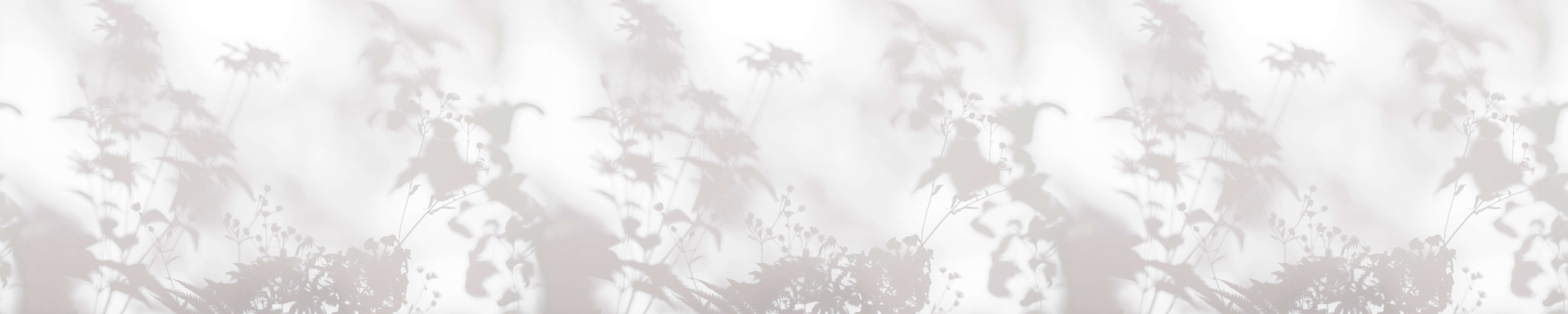 walls by patel Photo wallpaper Walls by Patel 3