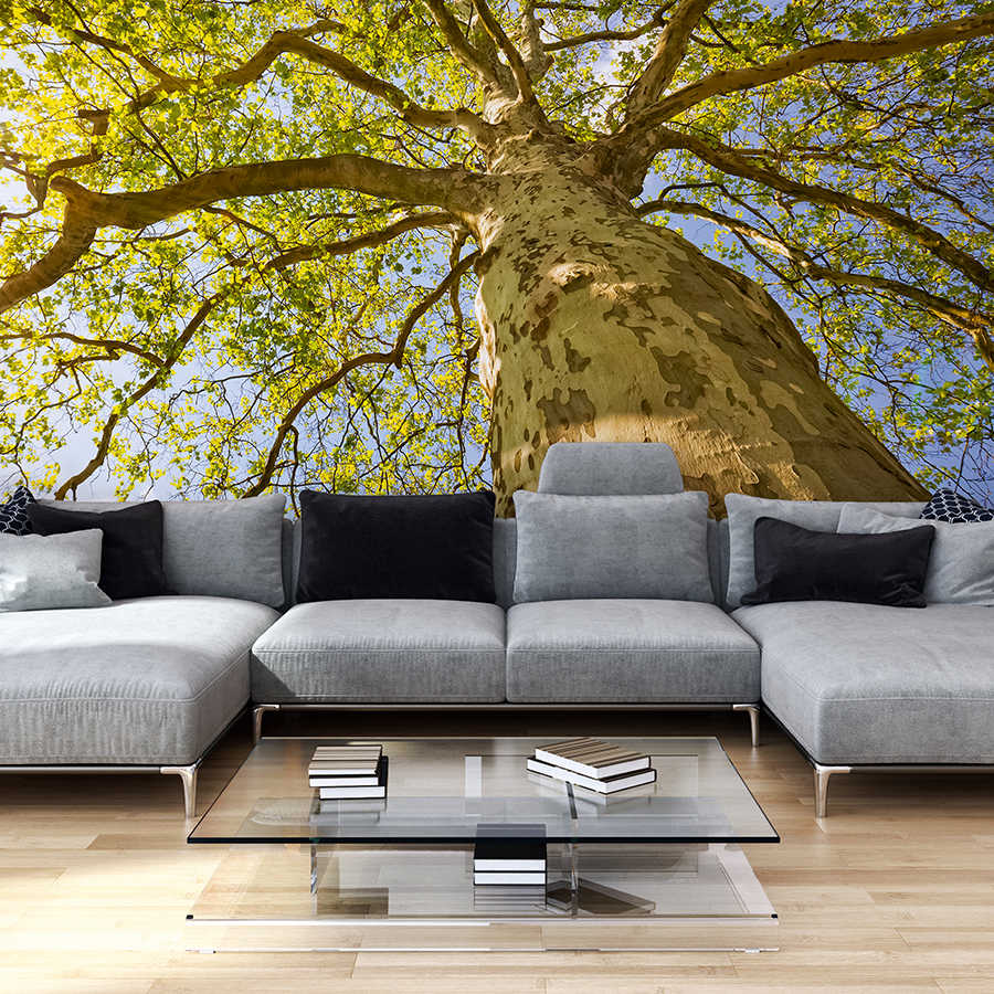 livingwalls impression numérique XXLwallpaper 2