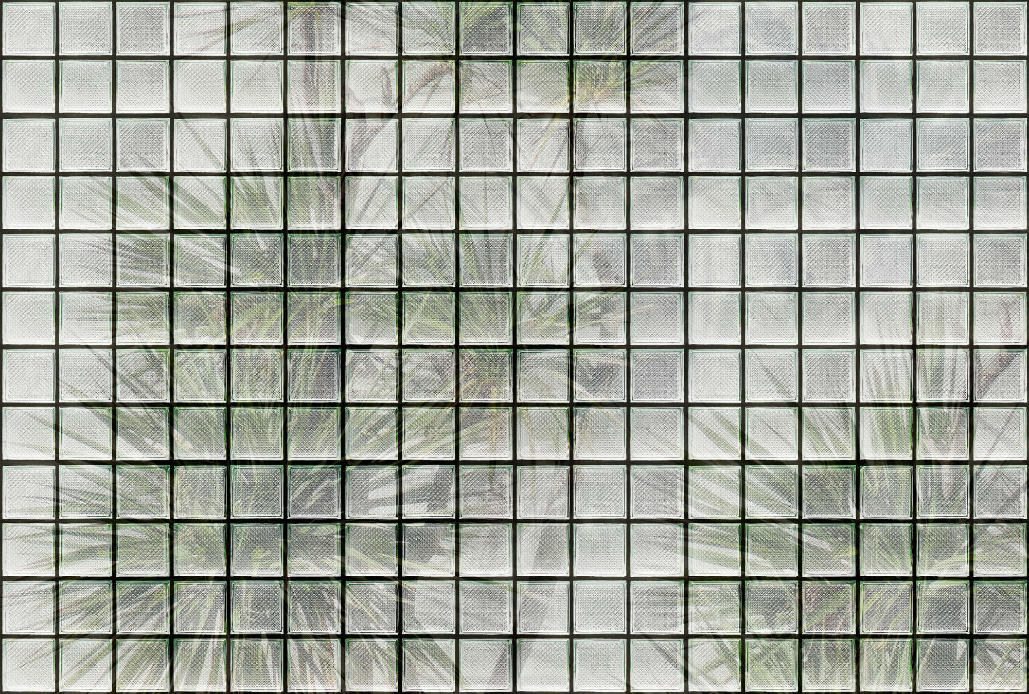walls by patel Photo wallpaper Walls by Patel 3