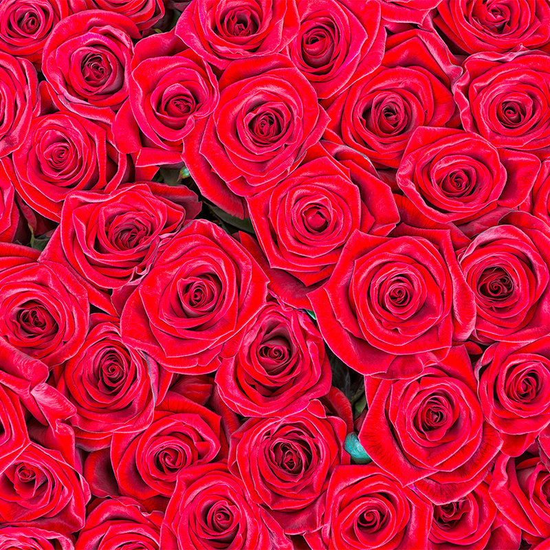 livingwalls impression numérique XXLwallpaper 2