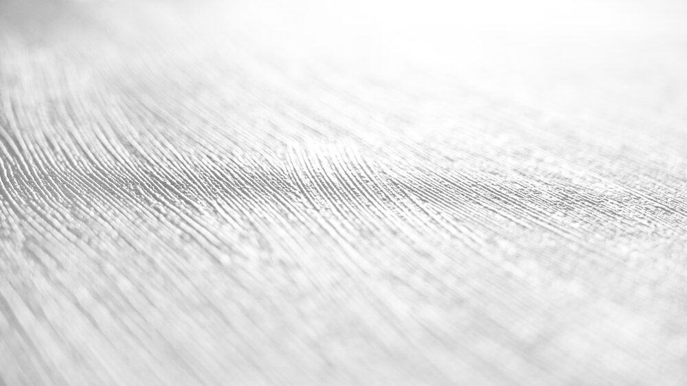 A.S. Création Tapete Meistervlies Create