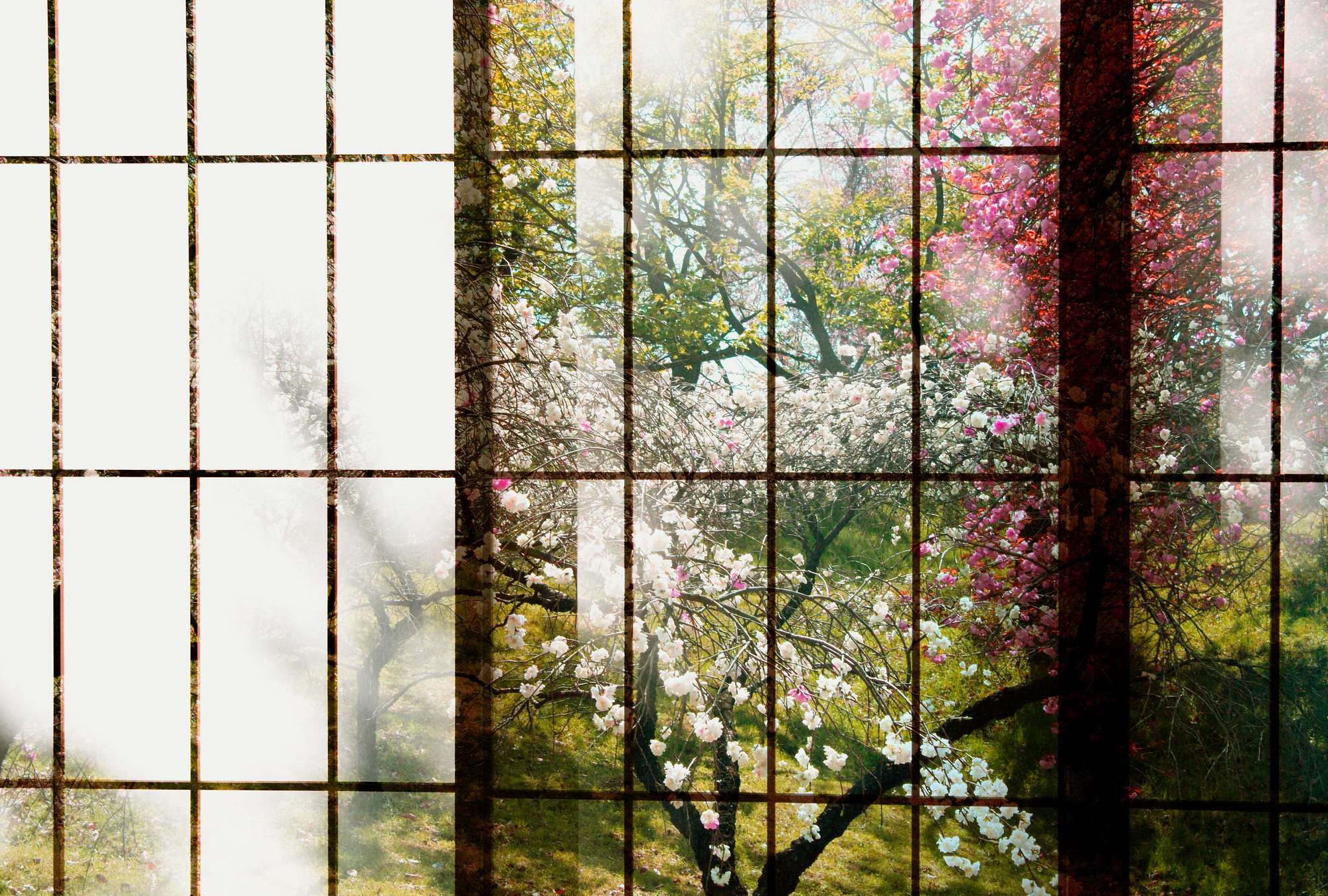 walls by patel Photo wallpaper Walls by Patel 2