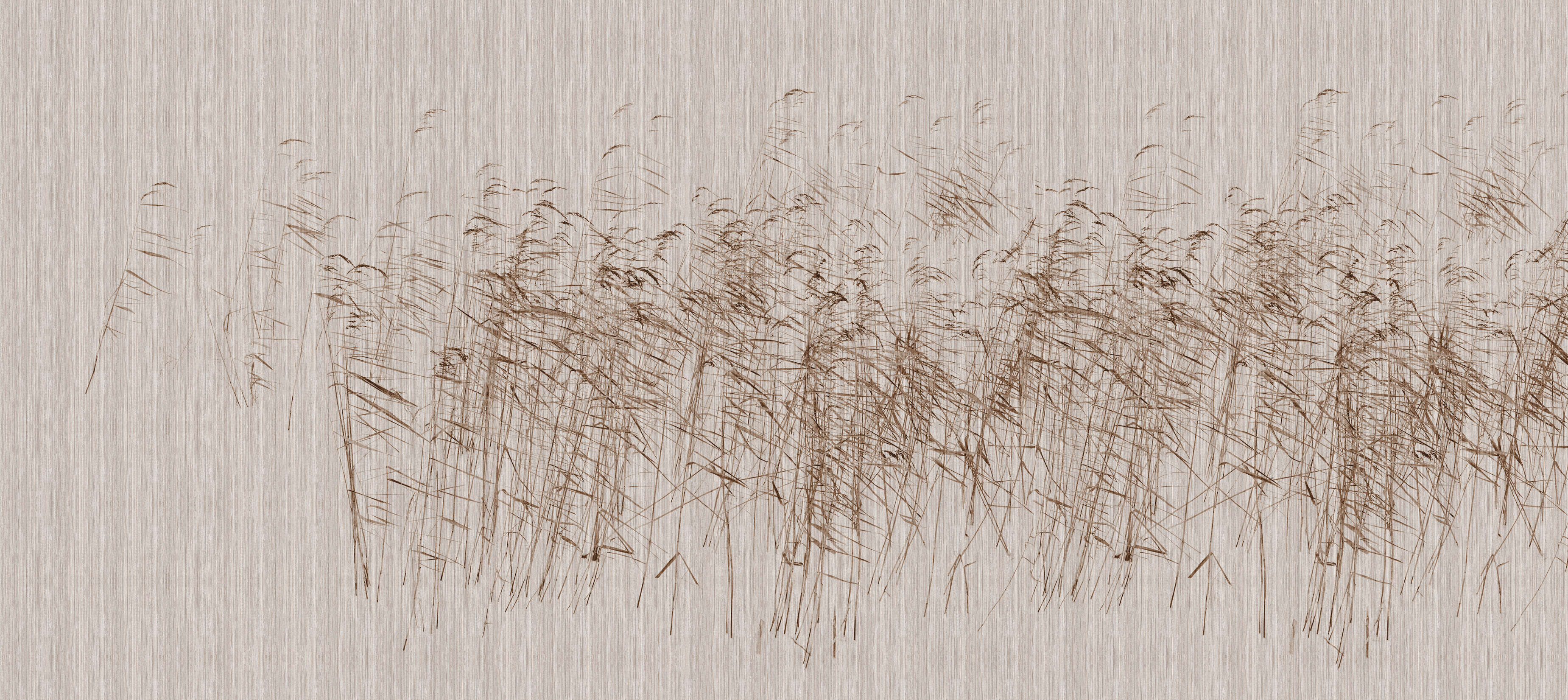 walls by patel Photo wallpaper Walls by Patel 3