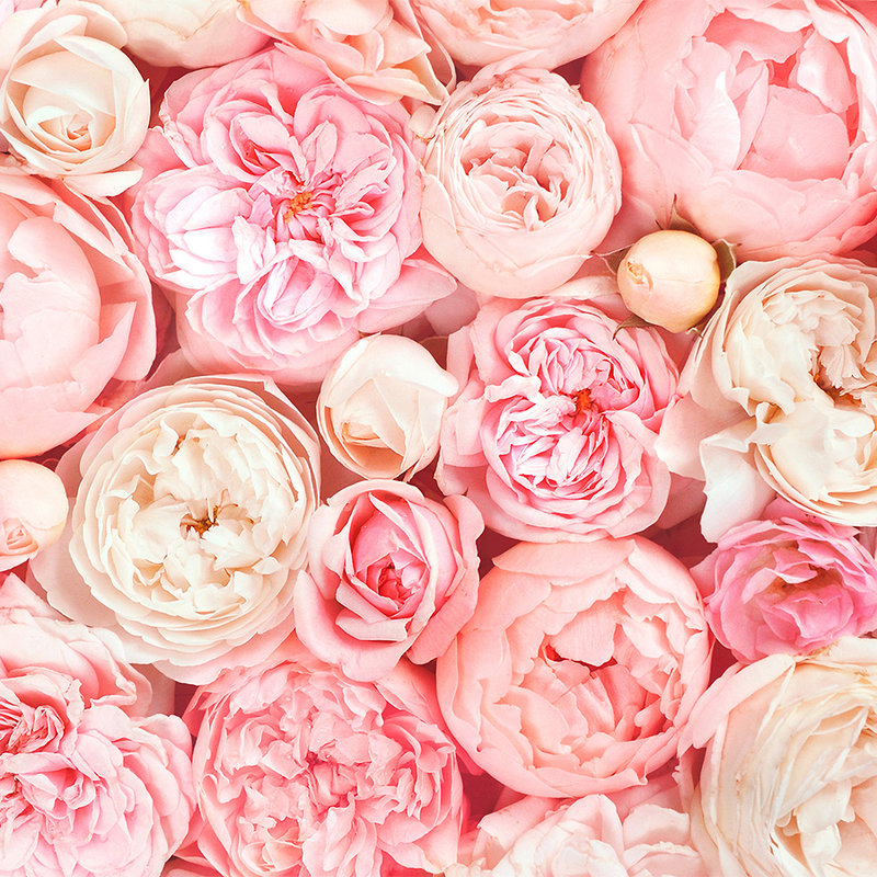 livingwalls Photo wallpaper Designwalls