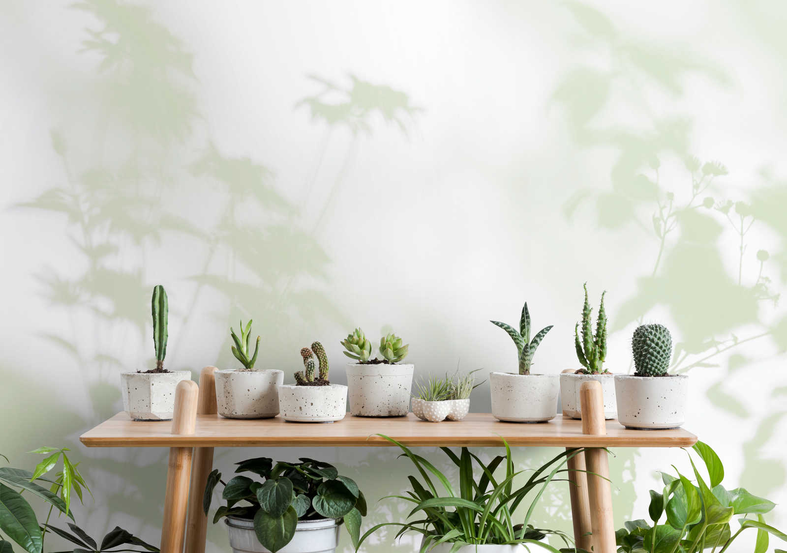 walls by patel Photo wallpaper Walls by Patel 3