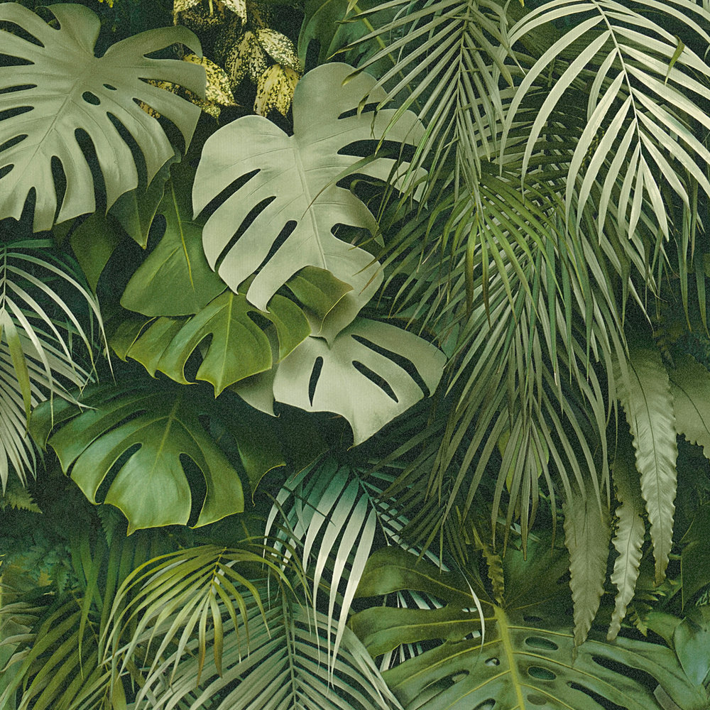 livingwalls papier peint Styleguide Jung 2024