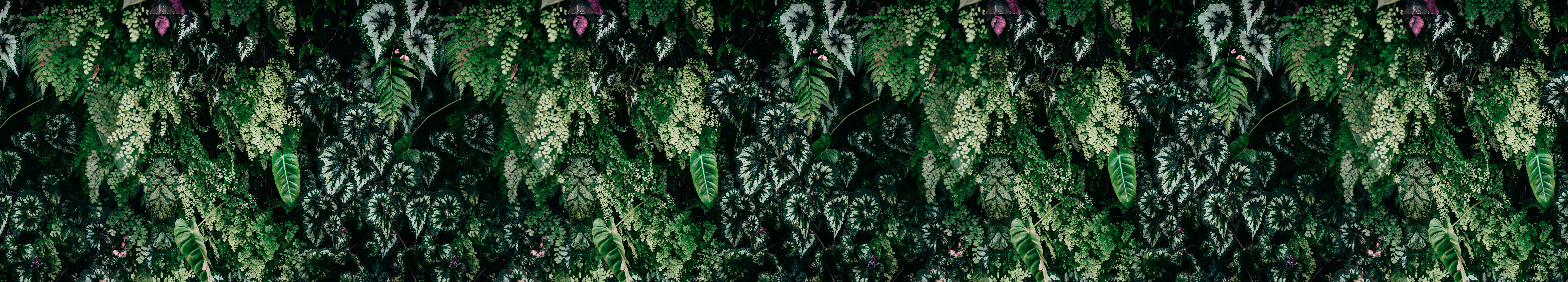 walls by patel Photo wallpaper Walls by Patel 3