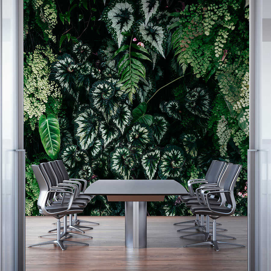 walls by patel Photo wallpaper Walls by Patel 3