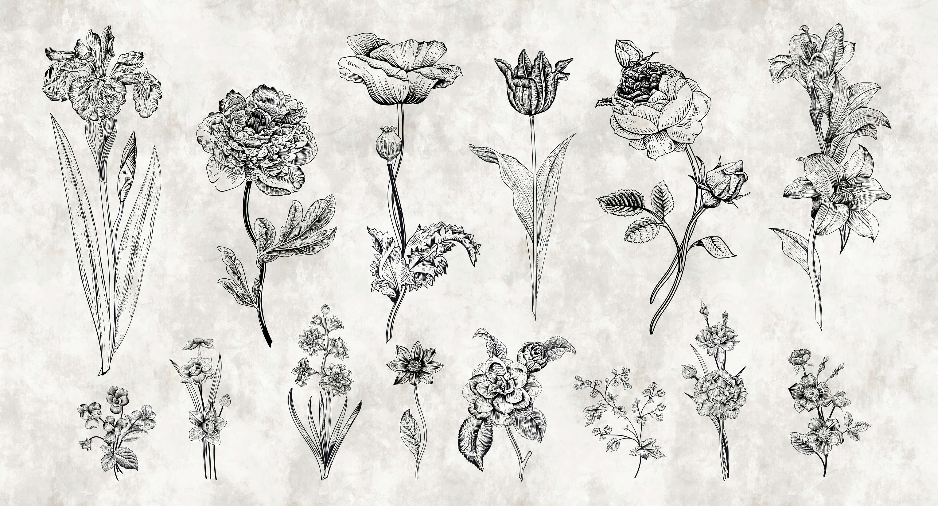 walls by patel Photo wallpaper Walls by Patel walls by patel Photo wallpaper Walls by Patel