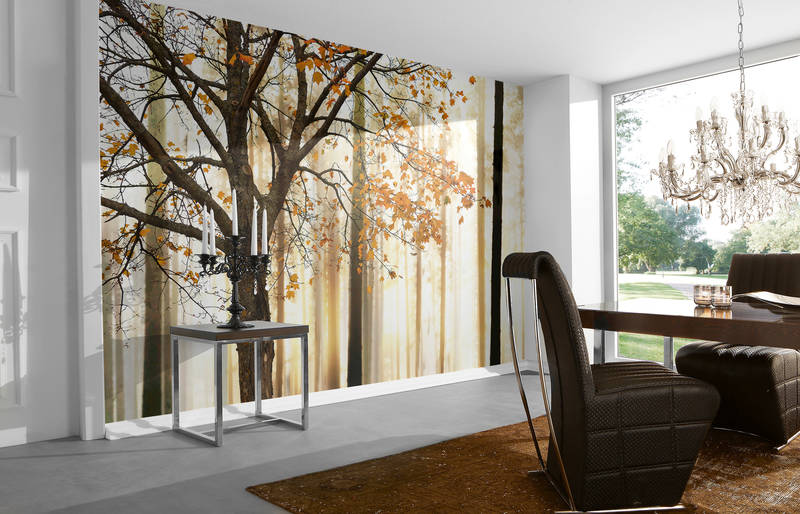livingwalls Фотообои XXLwallpaper 3