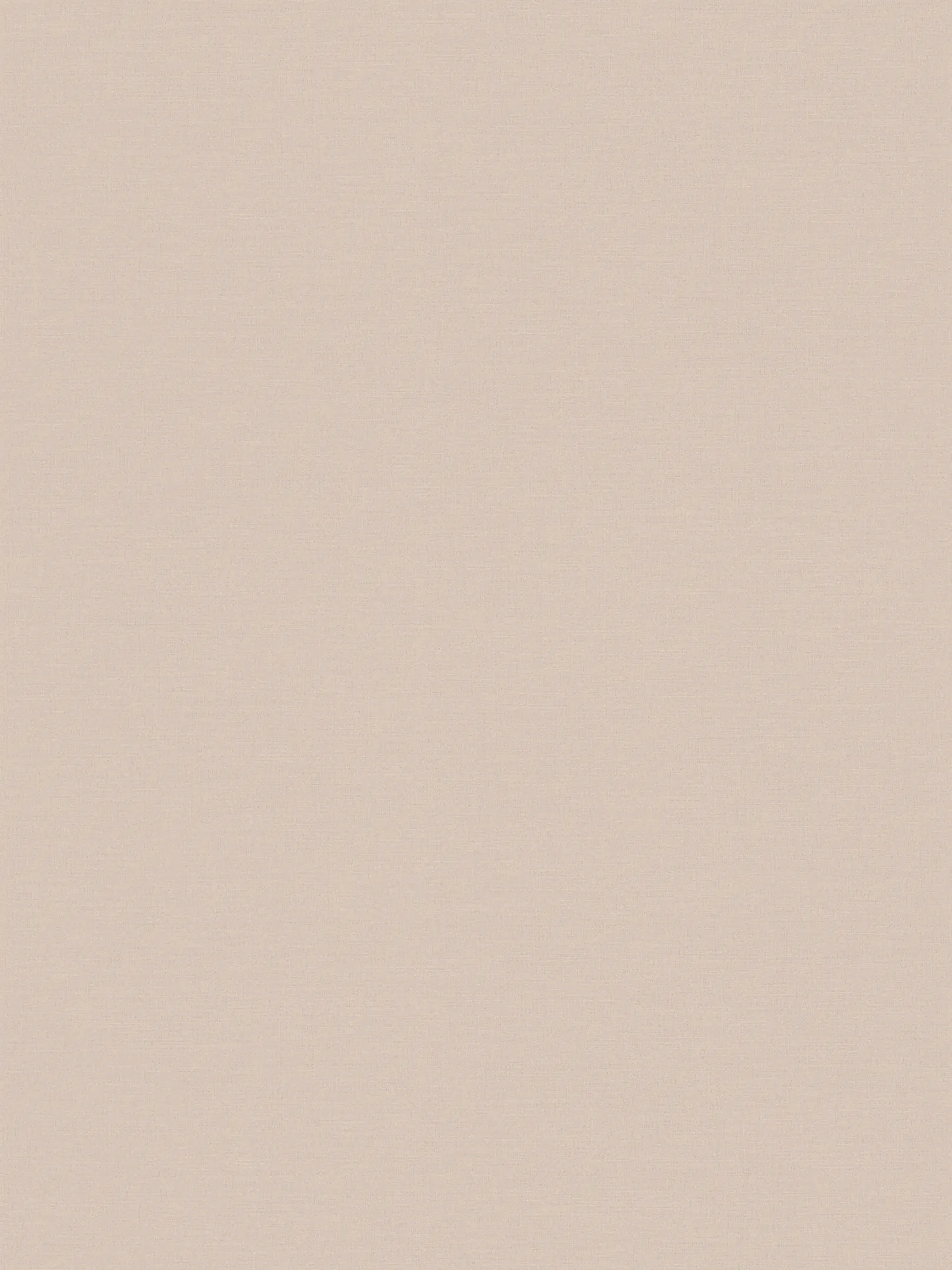 A.S. Création Wallpaper House of Turnowsky