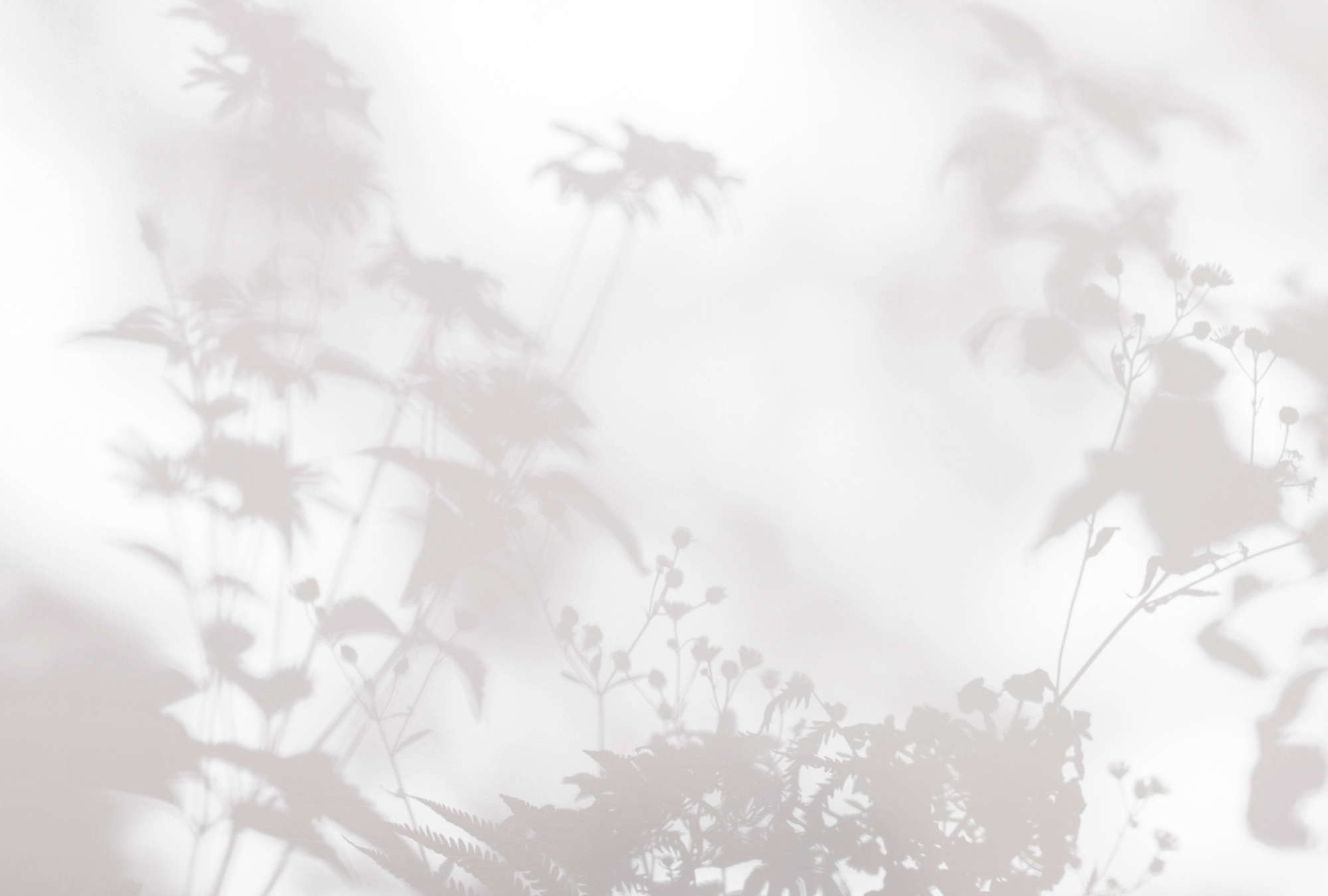 walls by patel Photo wallpaper Walls by Patel 3