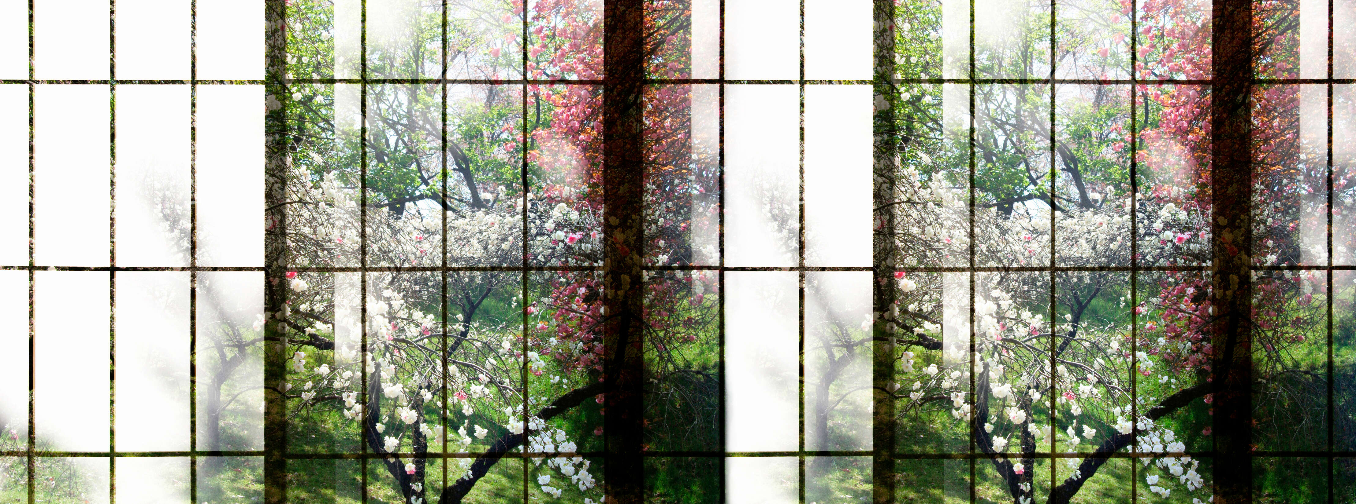 walls by patel Photo wallpaper Walls by Patel 2