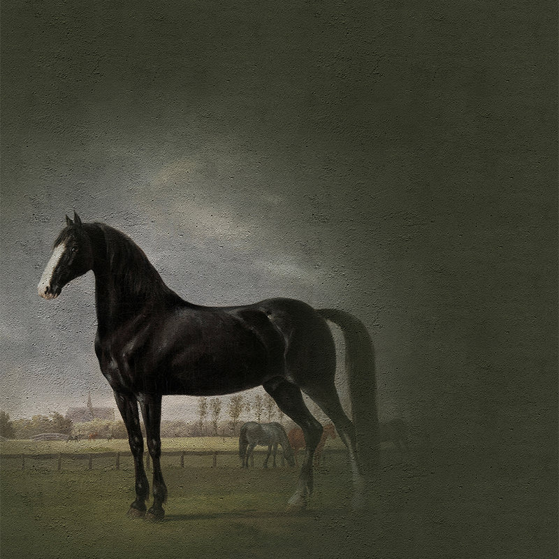 walls by patel Photo wallpaper Walls by Patel