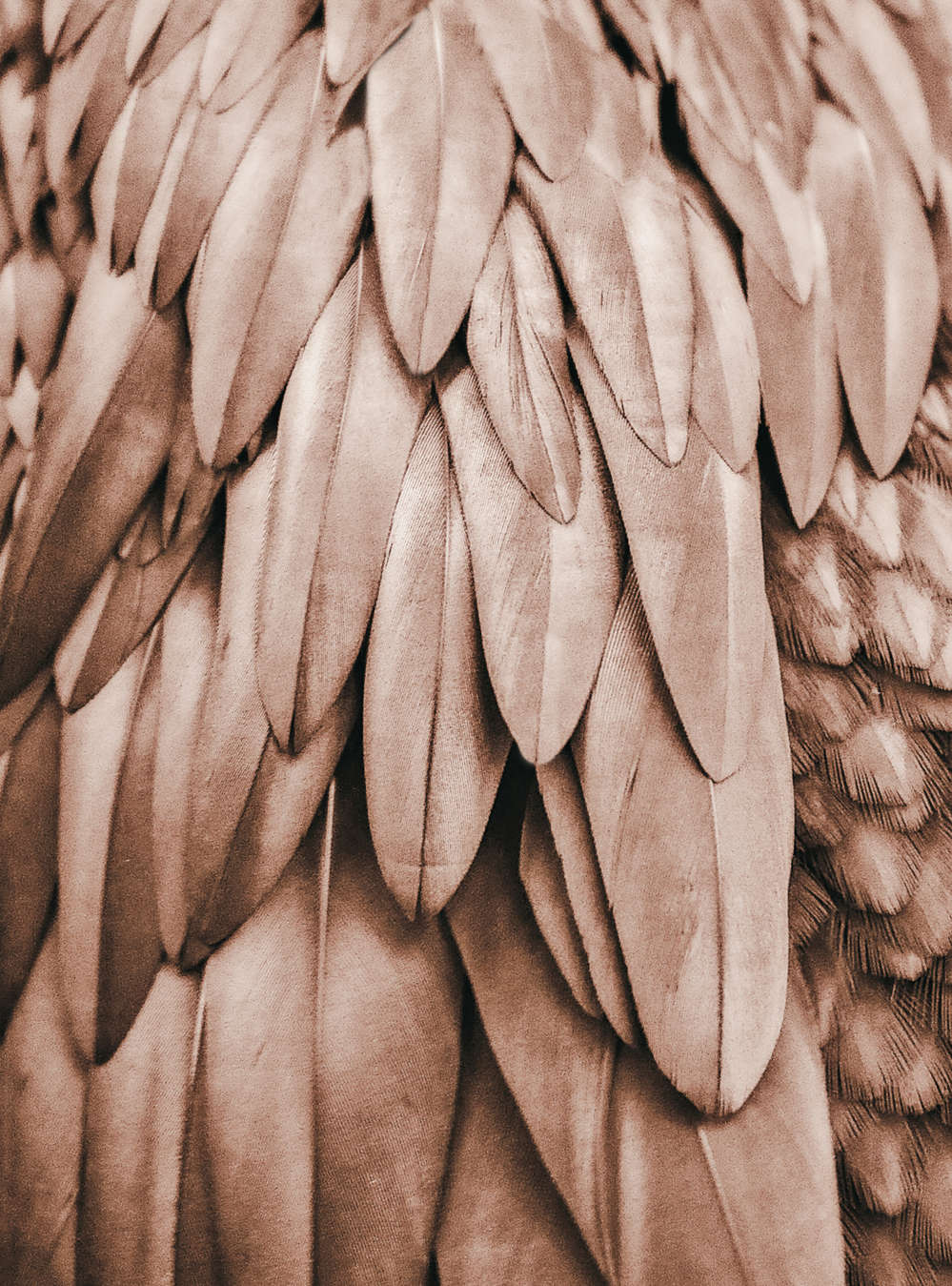 livingwalls Фотообои ARTist